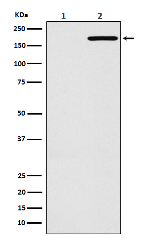 m00023 5 wb