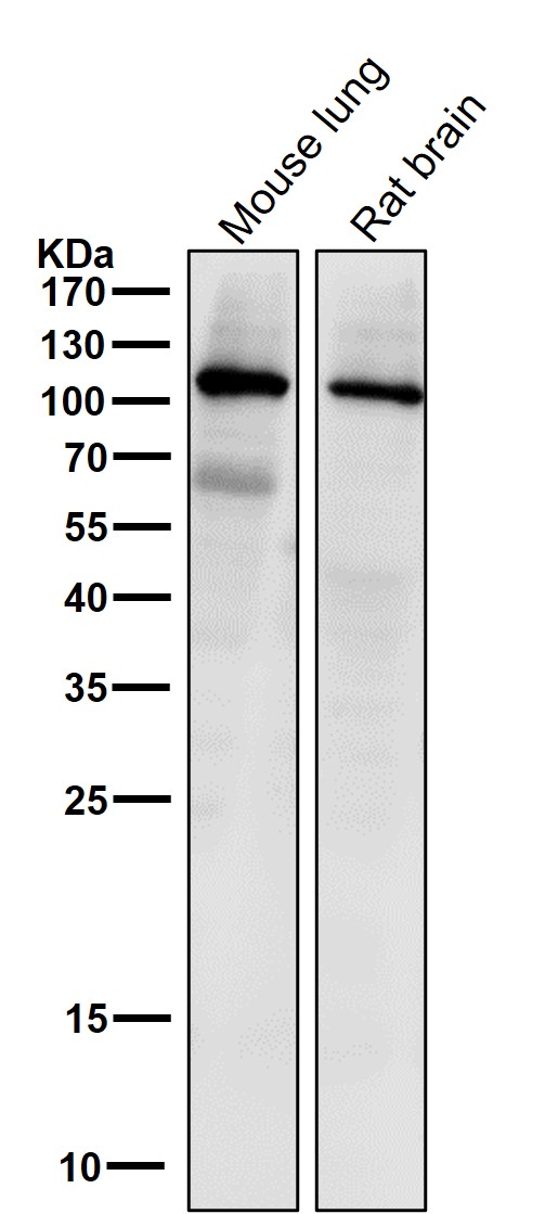 m00029 wb7