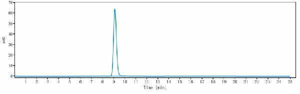 The purity of Anti-CXCR4/CD184 Reference Antibody (Dana-Farber patent anti-CXCR4)is more than 95%