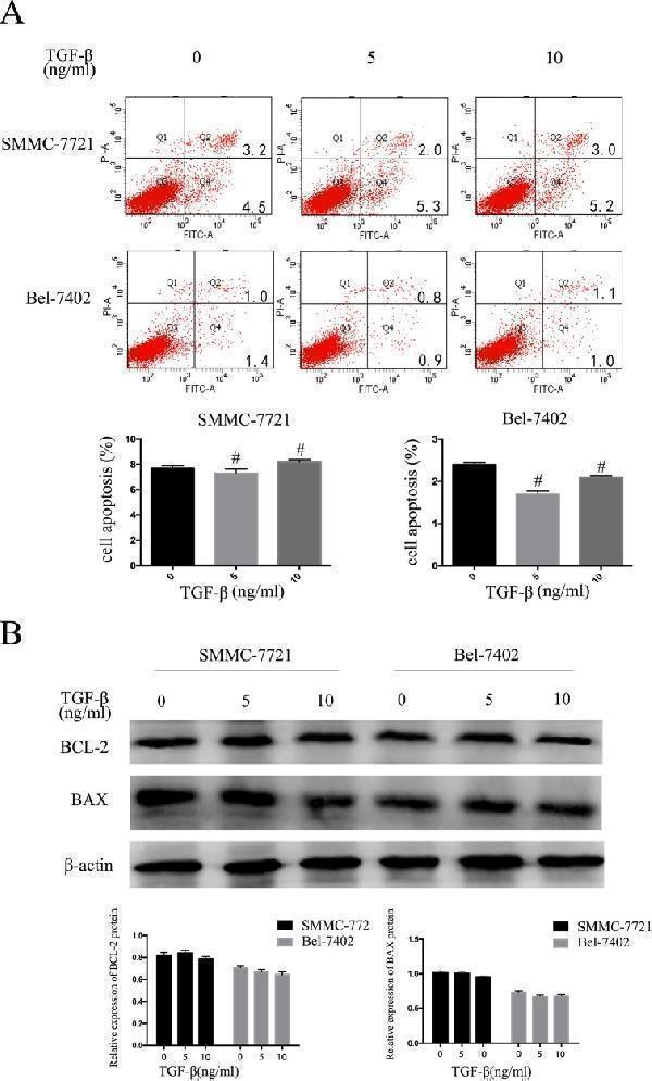 m00040 2 oncotarget 08 29785 g002