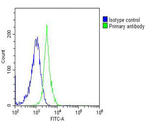 Overlay histogram showing Jurkat cells stained with M00042-5(green line)