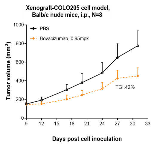 m00045 3 xenograft colo205 cell model