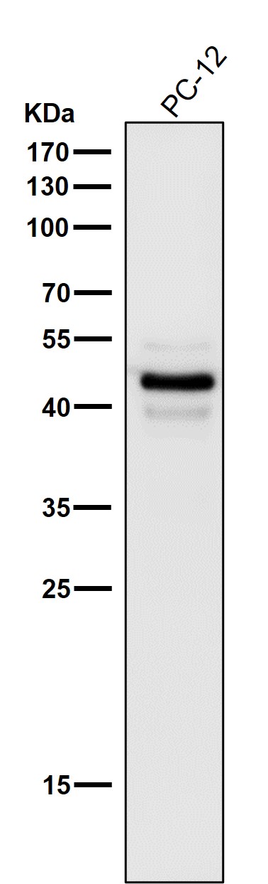 m00048 2 wb11