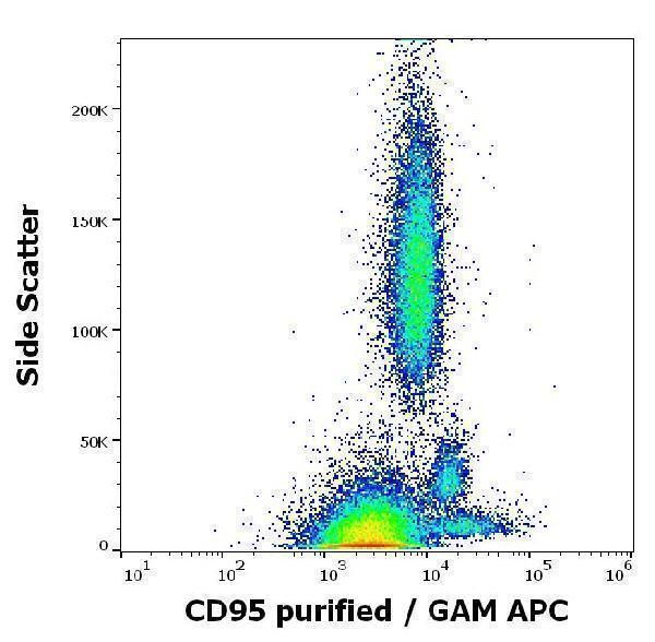 Flow cytometry surface staining pattern of human peripheral whole blood stained using anti-human CD95 (LT95) purified antibody (concentration in sample 2 µg/ml) GAM APC