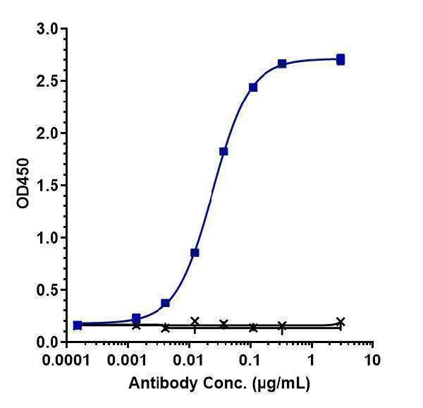 Immobilized human MCP1 His at 2 &mug/mL can bind Anti-CCL2/MCP1 Reference Antibody (carlumab)