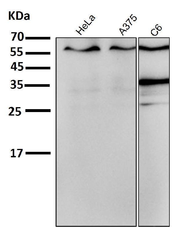 m00057 2 wb7