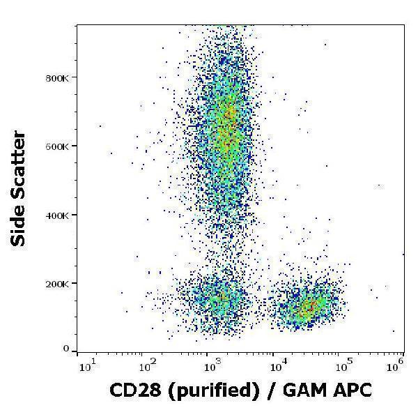 Flow cytometry surface staining pattern of human peripheral blood stained using anti-human CD28 (CD28