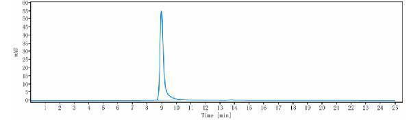The purity of Anti-IGF1R/CD221 Reference Antibody (ganitumab)is more than 100