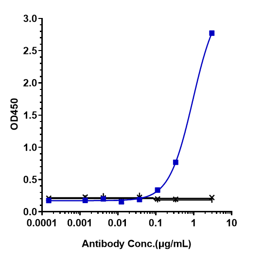Immobilized N His HSA human Amyloid beta(APP) at 2 &mug/mL can bind Anti-Amyloid Beta Reference Antibody (aducanumab)