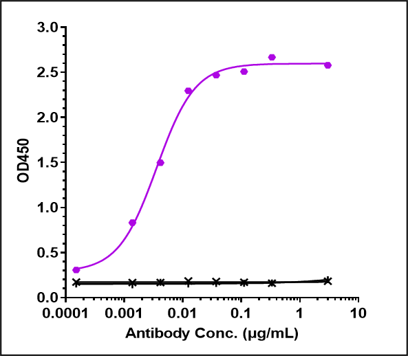 Immobilized Abeta42/Abeta40 at 2 &mug/mL can bind Anti-Amyloid Beta Reference Antibody (lecanemab)