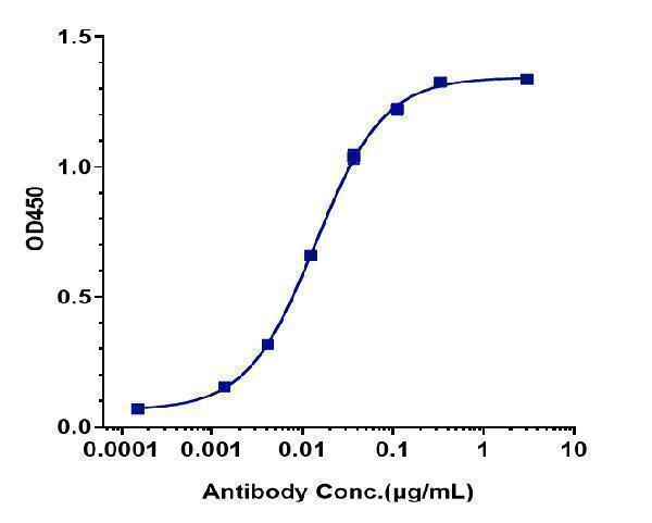 Immobilized human CSF1R/M CSFR