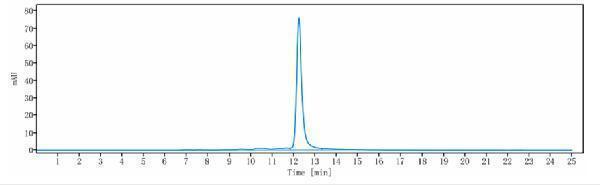 The purity of Anti-CSF1R/M-CSFR/CD115 Reference Antibody (cabiralizumab)is more than 99