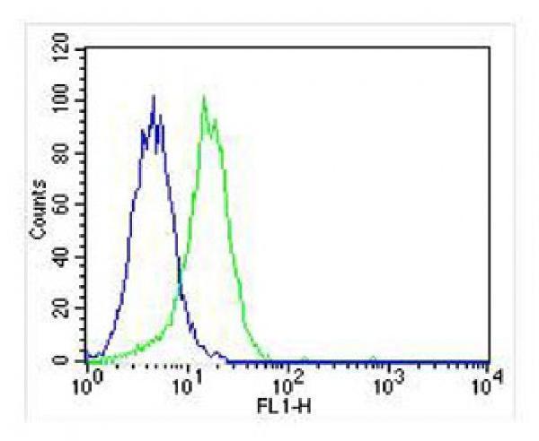 m00082 anti csf1r antibody fc testing 5