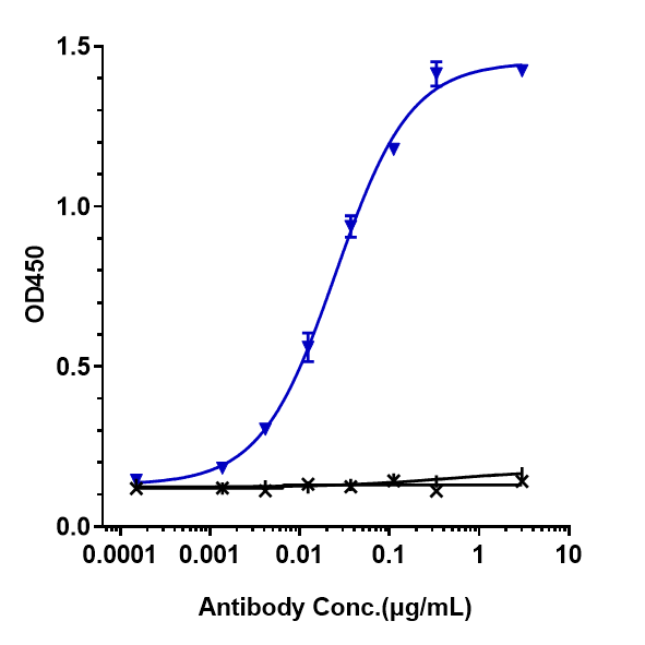 Immobilized human HGF His at 2 &mug/mL can bind Anti-HGF/SF Reference Antibody (rilotumumab)