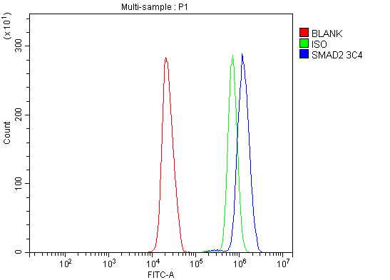 m00090 3 smad2 primary antibodies fcm testing 5