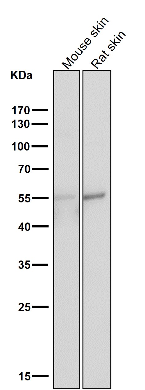 m00097 wb7