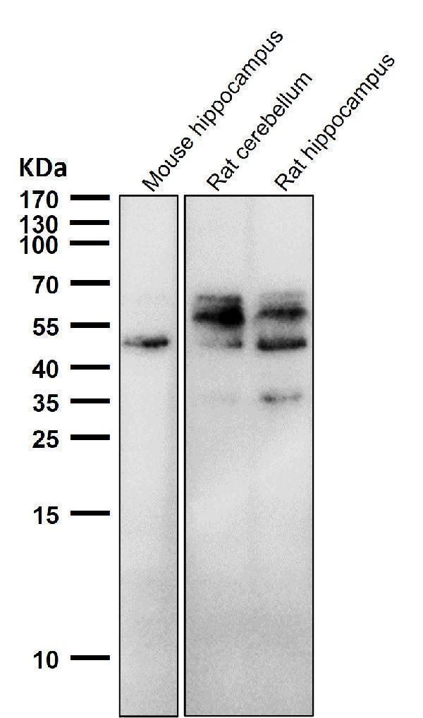 m00097s198 wb7