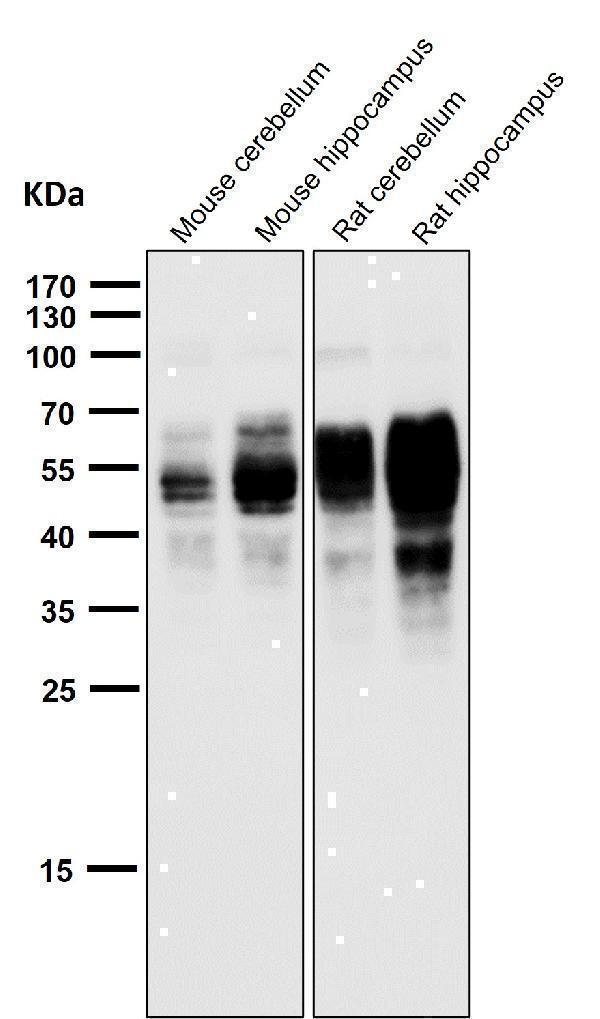 m00097s202 wb8