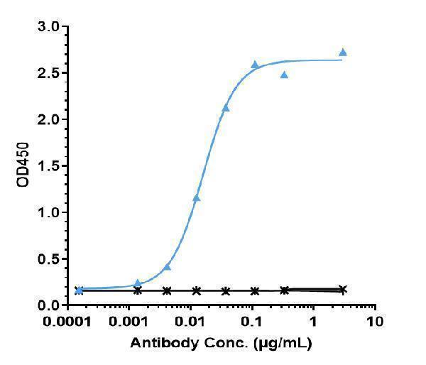 Immobilized human IL-6 His at 2 &mug/mL can bind Anti-IL-6/IFNb2 Reference Antibody (Medarex patent anti-IL-6)