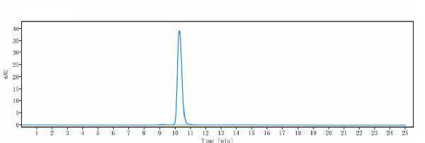 The purity of Anti-IL-6/IFNb2 Reference Antibody (Merck patent anti-IL-6)is more than 95%