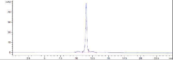 The purity of Anti-IL-6/IFNb2 Reference Antibody (Chugai SK2)is more than 100%