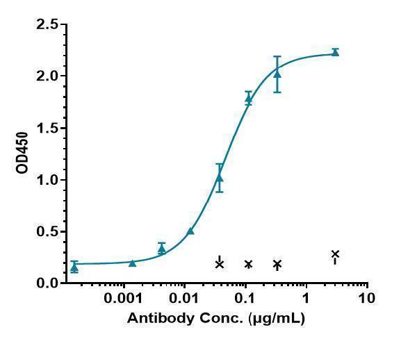 Immobilized human IL-6 His at 2 &mug/mL can bind Anti-IL-6/IFNb2 Reference Antibody (MEDI 5117)