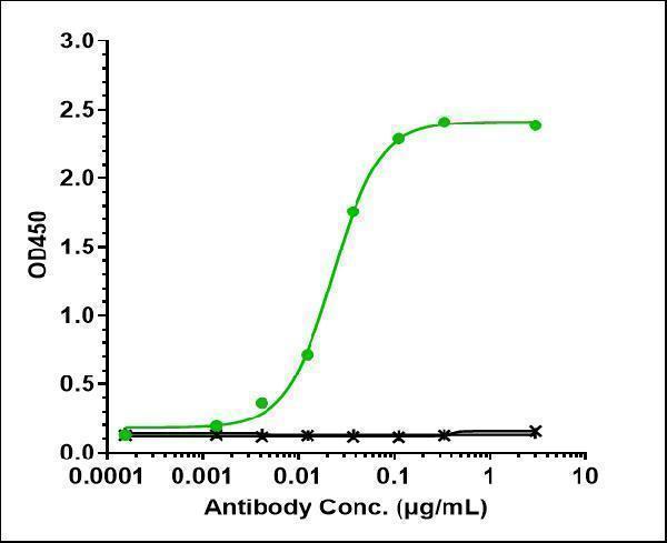 Immobilized human IL-6 His at 2 &mug/mL can bind Anti-IL-6/IFNb2 Reference Antibody (siltuximab)