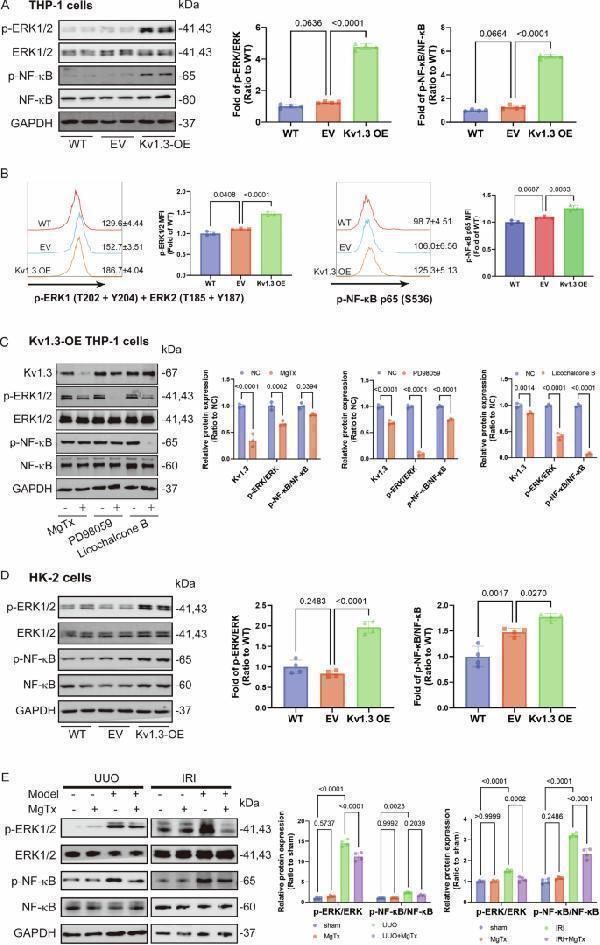 m00104 1 41420_2025_2508_fig6_html