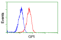 Flow cytometric Analysis of Jurkat cells
