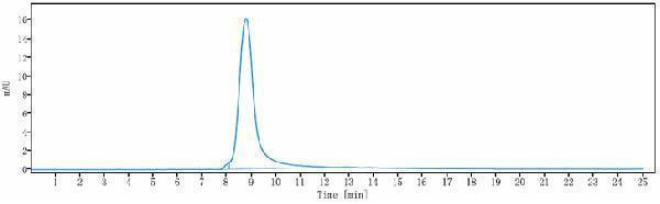The purity of Anti-B7-H1/PD-L1/CD274 Reference Antibody (MDX-1105)is more than 95%