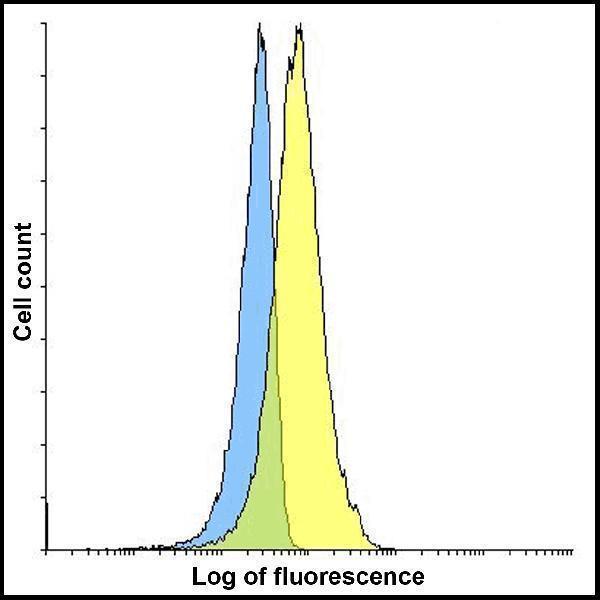m00109 2 cd274 primary antibodies fcm testing 8