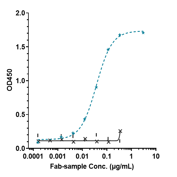 Immobilized human PD L1 FC at 2 &mug/mL can bind Anti-B7-H1/PD-L1/CD274 Reference Antibody (avelumab)