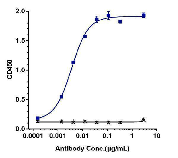 Immobilized human PD L1 His at 2 &mug/mL can bind Anti-B7-H1/PD-L1/CD274 Reference Antibody (envafolimab)