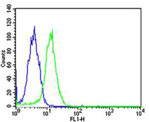 Flow cytometric analysis of Hela cells using SP1 Antibody (green, Cat#M00110-1) compared to an isotype control of mouse IgG1 (blue)
