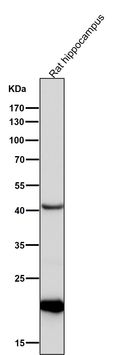 m00119 wb9