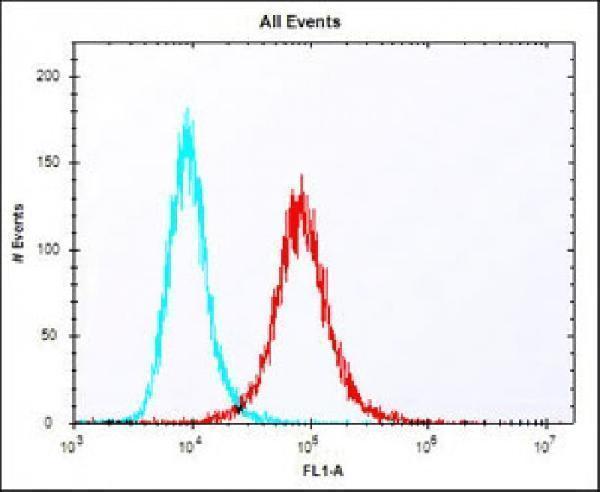 Overlay histogram showing NIH/3T3 cells stained with M00120-1 (red line)