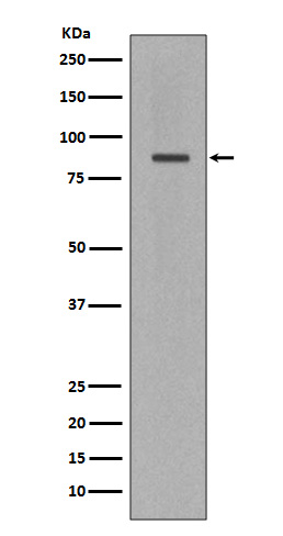 m00122 2 wb
