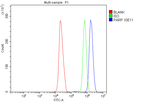 m00122 5 parp primary antibodies fcm testing 5