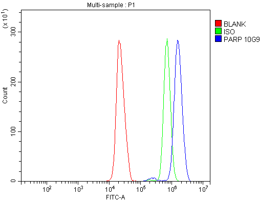 m00122 6 parp primary antibodies fcm testing 7