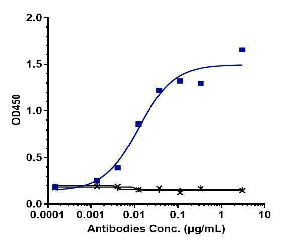 Immobilized human IL 18 C His at 2 &mug/mL can bind Anti-IL-18 Reference Antibody (Camoteskimab)