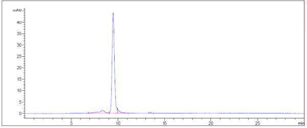 The purity of Anti-IL-18 Reference Antibody (GSK 1070806)is more than 95%