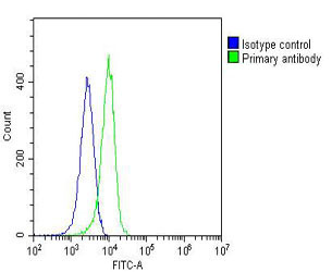 m00125 2 anti pcna antibody fc testing 4