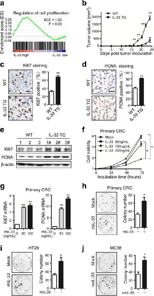 m00125 3 13046_2018_839_fig1_html