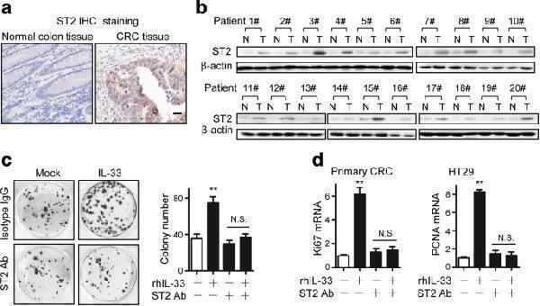 m00125 3 13046_2018_839_fig3_html