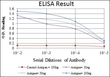 m00135 1 eif4e primary antibodyes elisa testing 5