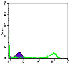 m00135 1 eif4e primary antibodyes fcm testing 4