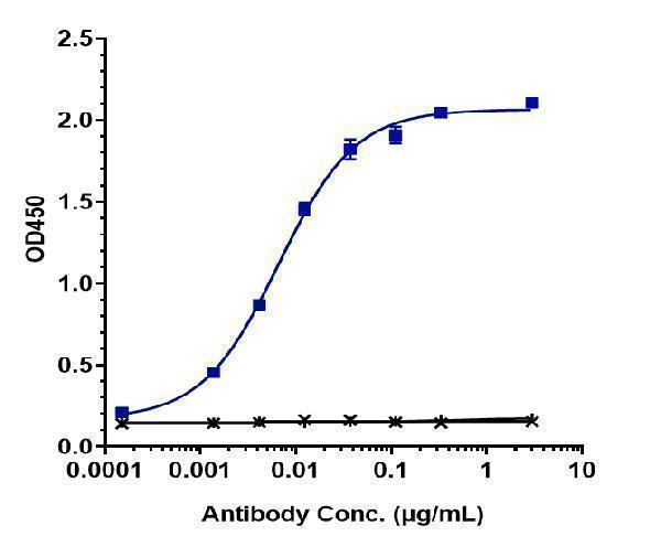 Immobilized human MMP9 His at 2 &mug/mL can bind Anti-MMP9 Reference Antibody (andecaliximab)