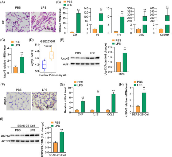 m00144 1 publication ctm2 16 e70718 g002