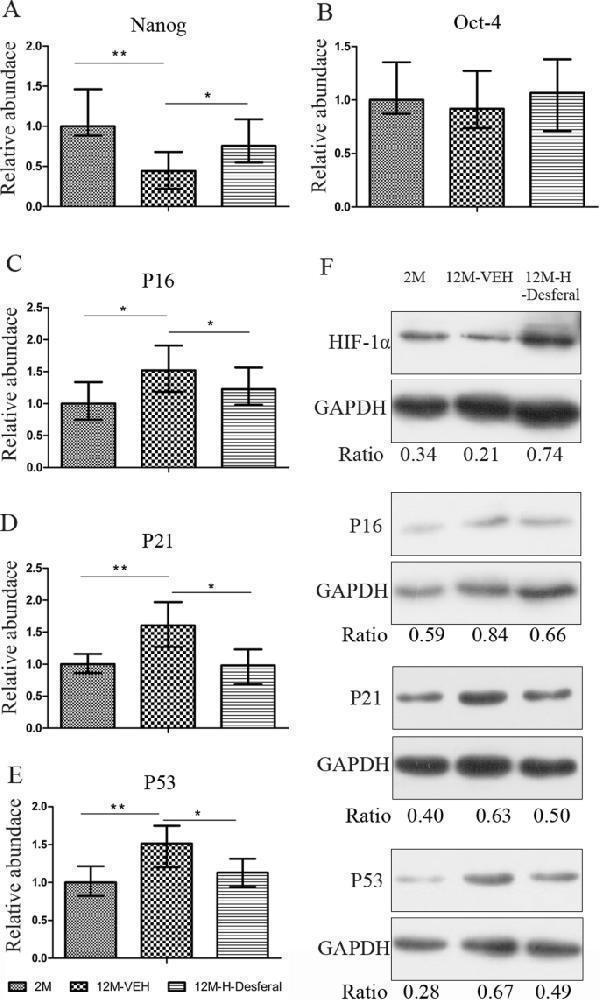 m00145 2 13287_2020_2112_fig6_html