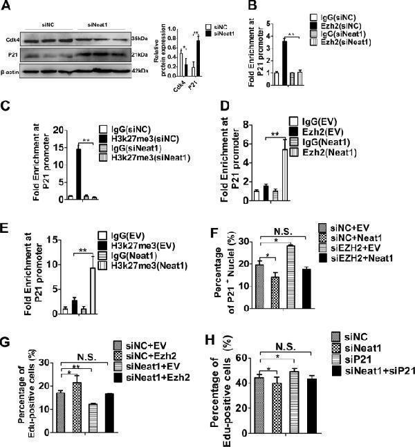 m00145 2 41419_2019_1742_fig6_html